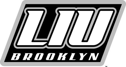 LIU-Brooklyn Blackbirds 2008-Pres Alternate Logo v2 DIY iron on transfer (heat transfer)